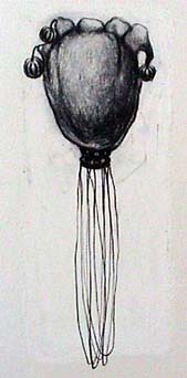 Betsey Garand drawing