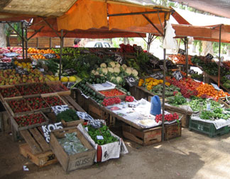 Fruit Stand in Carrasco