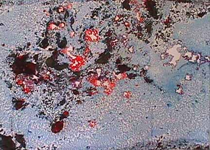 Garrison Buxton abstract painting Chandra Deep Field