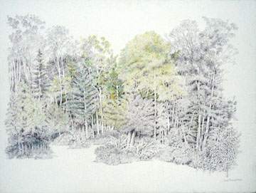 Joan Berg Victor drawing Tree Landscape